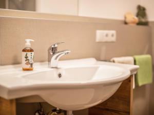 a bathroom sink with a bottle of soap on it at Pfattenspitz Maurerhof in Valdurna +29 photos