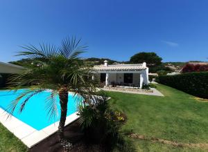 a house with a palm tree and a swimming pool at Villa Bua in Costa Rei