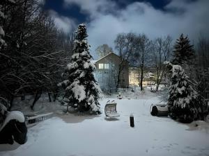 a snow covered yard with a house and a christmas tree at Ferienwohnung Silbergarten in Clausthal-Zellerfeld