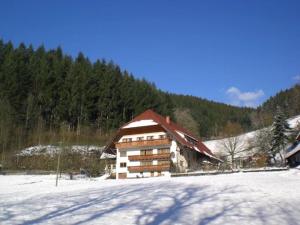 a large building in a snow covered field with trees at Geigerbauernhof in Mühlenbach