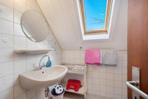 a bathroom with a sink and a mirror at Hofgut Dürrenbühl in Grafenhausen +19 photos