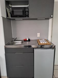 a small kitchen with a sink and a microwave at Meublé 3 étoiles en centre-ville in Niederbronn-les-Bains