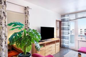 a living room with a tv and a plant at Räuberhöhle in Goslar