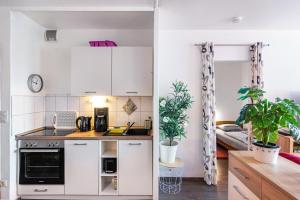 a kitchen with white cabinets and plants in a room at Räuberhöhle in Goslar