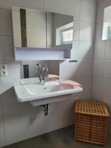ein Badezimmer mit Waschbecken und Spiegel in der Unterkunft Am Strohberg in Petersburg