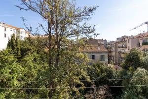 a tree in the middle of a city with buildings at Charmant appartement centre Ajaccio in Ajaccio
