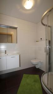 a bathroom with a toilet and a green rug at Ferienwohnung Mario in Hippach +6 photos