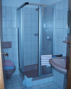 a bathroom with a shower and a sink and a toilet at Baumanns Ferienhof Am See in Bettnau +39 photos