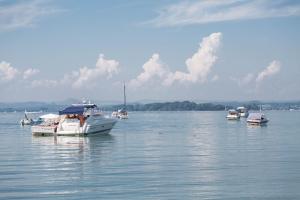 a group of boats floating on a body of water at Seetraum Berger in Hagnau