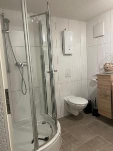 a bathroom with a shower and a toilet at Ferienwohnung Arnstadt Ost in Arnstadt