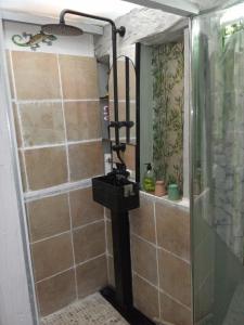 a shower in a bathroom with a glass wall at Room - Les loups bleus in Rossillon
