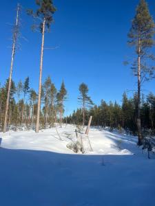 a snow covered field with trees in the background at Mysig Stuga in Sveg +4 photos