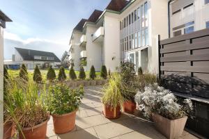 a row of potted plants in front of a building at Domus Lux 53 in Bad Säckingen