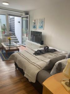 a bedroom with a large bed and a television at Domus Lux 53 in Bad Säckingen