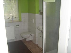 a bathroom with a toilet and a sink at Ferienwohnung Kelpin in Möllenbeck +8 photos