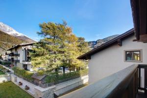 a view from the balcony of a house with a tree at Olympic Chalet 12 in Bormio