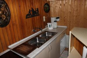 a kitchen with a sink and a counter top at Ferienhaus Wittmann in Kurort Oberwiesenthal