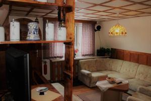 a living room with a couch and a tv at Ferienhaus Wittmann in Kurort Oberwiesenthal +4 photos