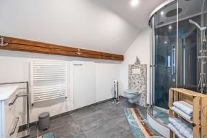 a bathroom with a shower and a toilet at Ferienwohnung Albatros Steinhude in Wunstorf