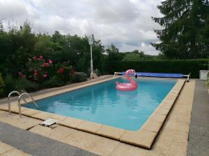a swimming pool with a pink swan in the water at Gite De La Guillone in Savignac