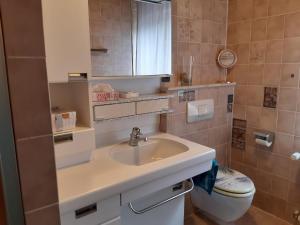 a bathroom with a sink and a toilet at Ferienwohnung Mühlengrün in Oberwolfach +22 photos