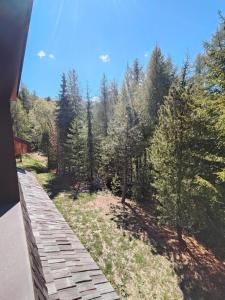 a wooden bridge in the middle of a forest at Casa Rita - Pila in Gressan