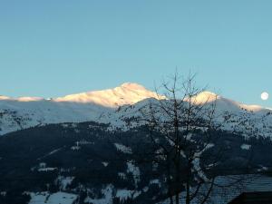 a snow covered mountain with a tree in the foreground at Ferienhaus Obersäuling in Stummerberg