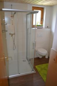a bathroom with a glass shower with a toilet at Ferienhaus Obersäuling in Stummerberg +11 photos