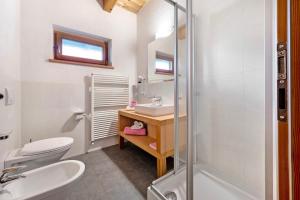 a bathroom with a toilet and a sink and a shower at Apartments Antersi Robbi in San Vigilio Di Marebbe +18 photos