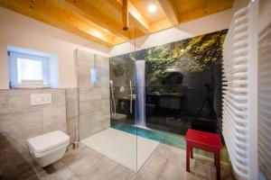 a bathroom with a shower and a toilet and a sink at Wohnplatz 52 in Inzigkofen +43 photos
