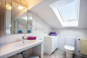 a bathroom with a sink and a toilet and a skylight at Ferienwohnung Bamberger Gipfelblick in Hopferau +25 photos