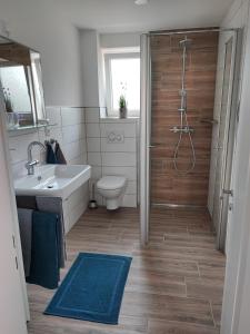 a bathroom with a shower and a toilet and a sink at Muhrbach in Weier +16 photos