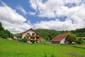a house on a hill with a green field at Abendrot in Münsingen