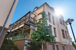 a building with a tree in front of it at Breisgau Lofts - Nähe Europapark in Herbolzheim