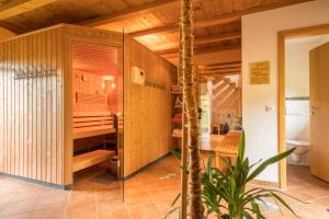 a bathroom with a shower and a toilet in a room at Ferienwohnung Risthof 3 in Owingen