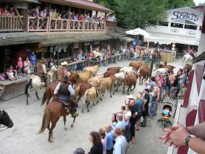 a herd of cattle walking down a street with people at Ferienwohnung Anita Benz in Thurmansbang