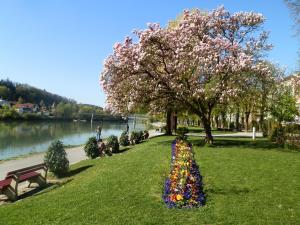 a park with flowers in the grass next to a tree at Ferienwohnung Anita Benz in Thurmansbang