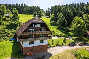 an aerial view of a house with a roof at Fuchsmichelhof 3 in Seebach