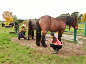a couple of children are petting two horses at Ferienbauernhof - Ferienwohnung 5 in Grünow +2 photos