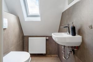 a bathroom with a sink and a toilet and a window at Apartment mit Jacuzzi Enschede 10km in Gronau +18 photos