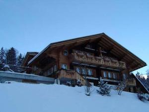 een groot houten gebouw in de sneeuw met sneeuw bij Chalet Spinne in Grindelwald