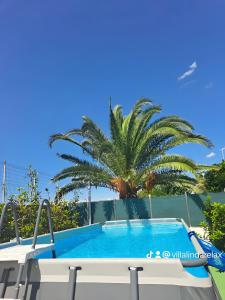 a palm tree in front of a swimming pool at Villa Lindarelax in Santa Maria del Focallo