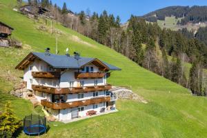 a house on the side of a hill at Ferienwohnung Jakob in Schwendau