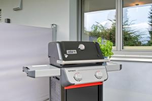 a grill in a kitchen next to a window at Rosenquarz in Überlingen