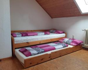 a room with three bunk beds in it at Ferienwohnung am Geißberg in Kleines Wiesental