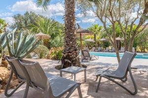 a group of chairs and a palm tree by a pool at Redonda 1 in Costitx