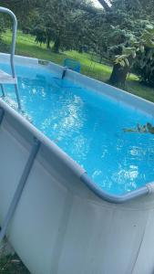 a pool of blue water with a chair in it at Villa Giacinti in Padova