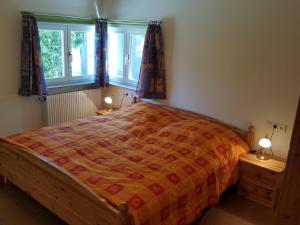 a bedroom with a bed and two windows at Bodensee-Landurlaub in Deggenhausertal