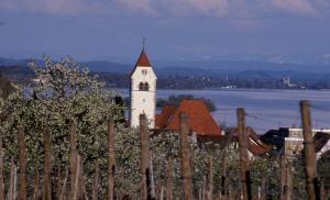 a building with a clock tower behind a fence at Appartements Bank Am See in Immenstaad am Bodensee