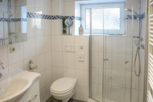 a bathroom with a toilet and a shower and a sink at Ferienwohnung Malerstübchen in Willingen +12 photos